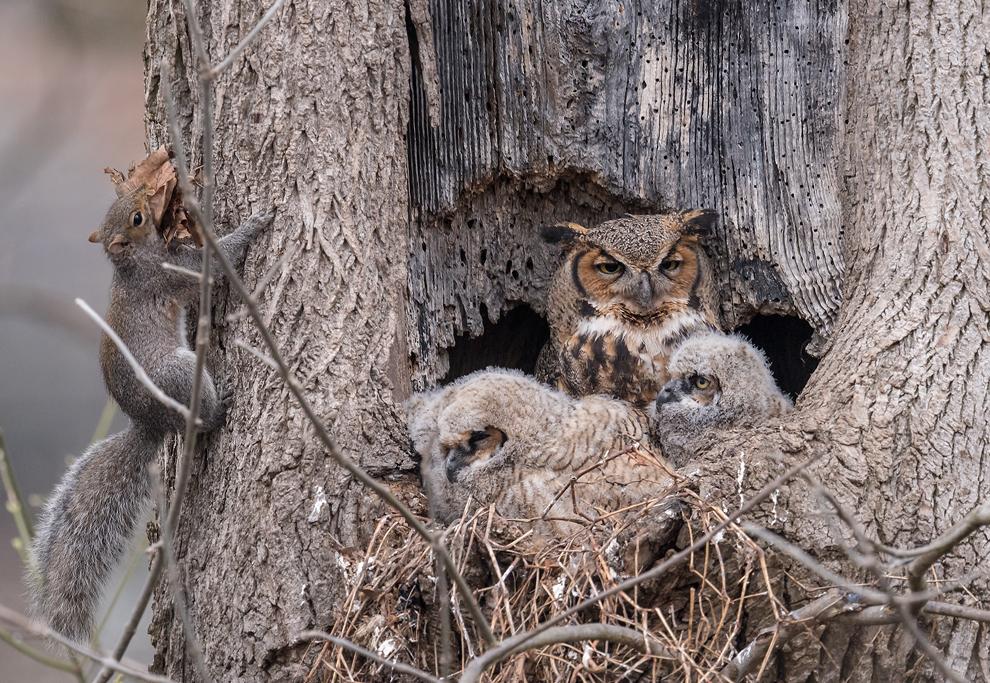 Planet Green tweet media