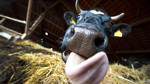 Daniel Solís tweet media