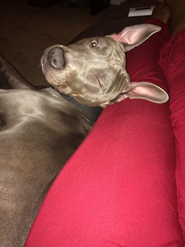 1inAMilli913's tweet photo. When you try to sneak pics of bae when he sleep and forgot to take the flash off #HiStorm http://t.co/wATKhjl8KP