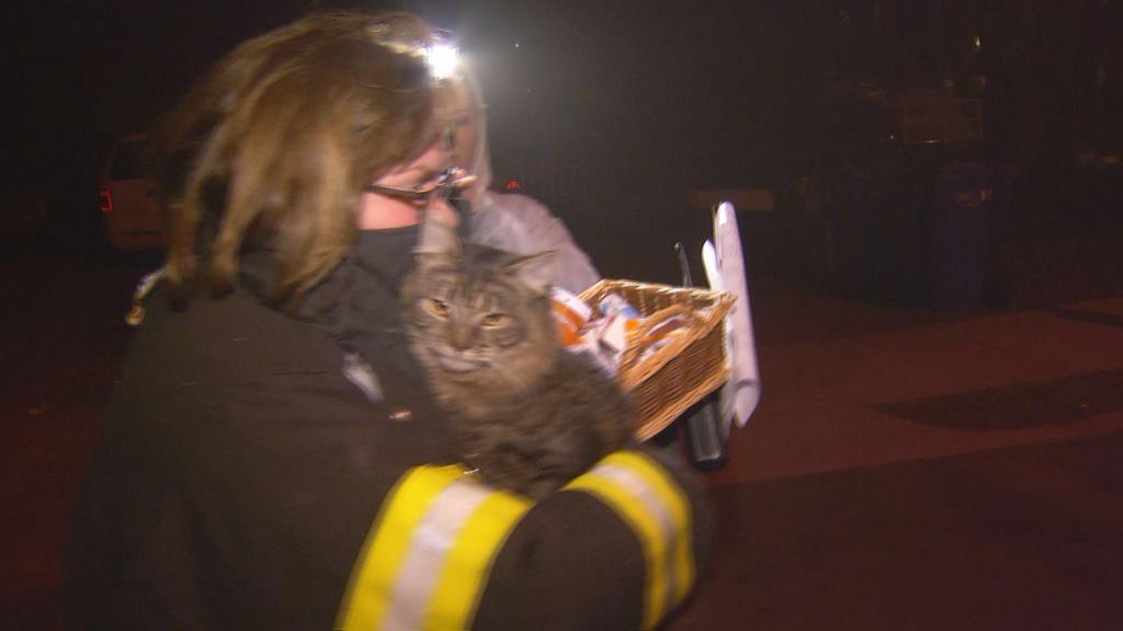 This little guy or girl was saved from tonight's fire in Hartford.