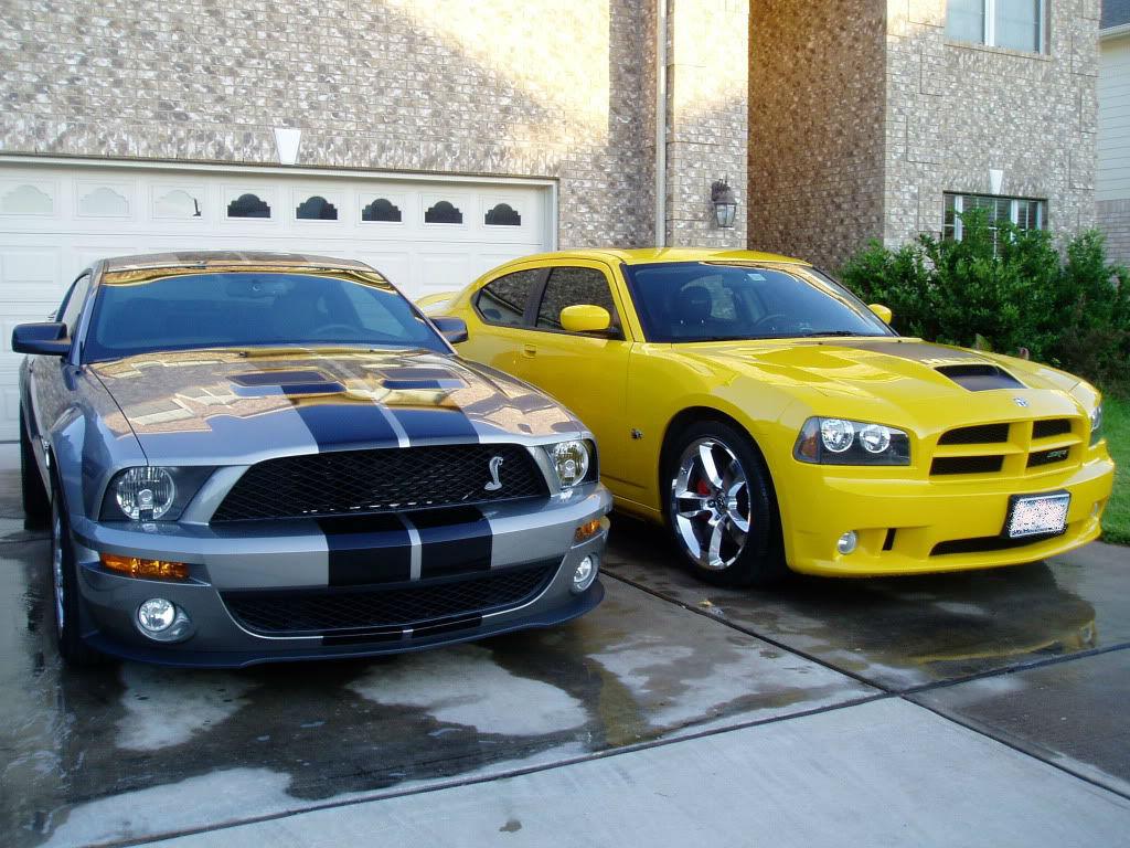 dailymustangs's tweet photo. Which car do you like better?
RT for Shelby GT500!
Fav for Charger SRT! http://t.co/nItyEmd1MG