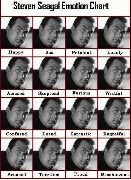 Steven Seagal Emotion Chart