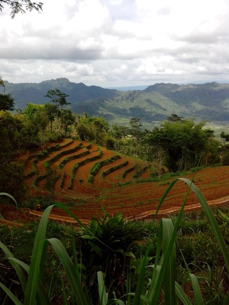 Ini Wonogiri ccuuyyyy....."Negeri di atas awan"...