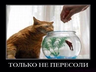 Vovan4ik7807's tweet photo. http://t.co/3P28PilgGs
