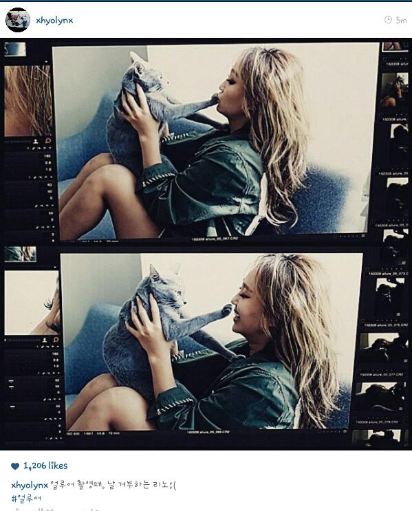 CCxFOM4UEAA56Ss.jpg:large