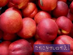 recipes___ tweet picture