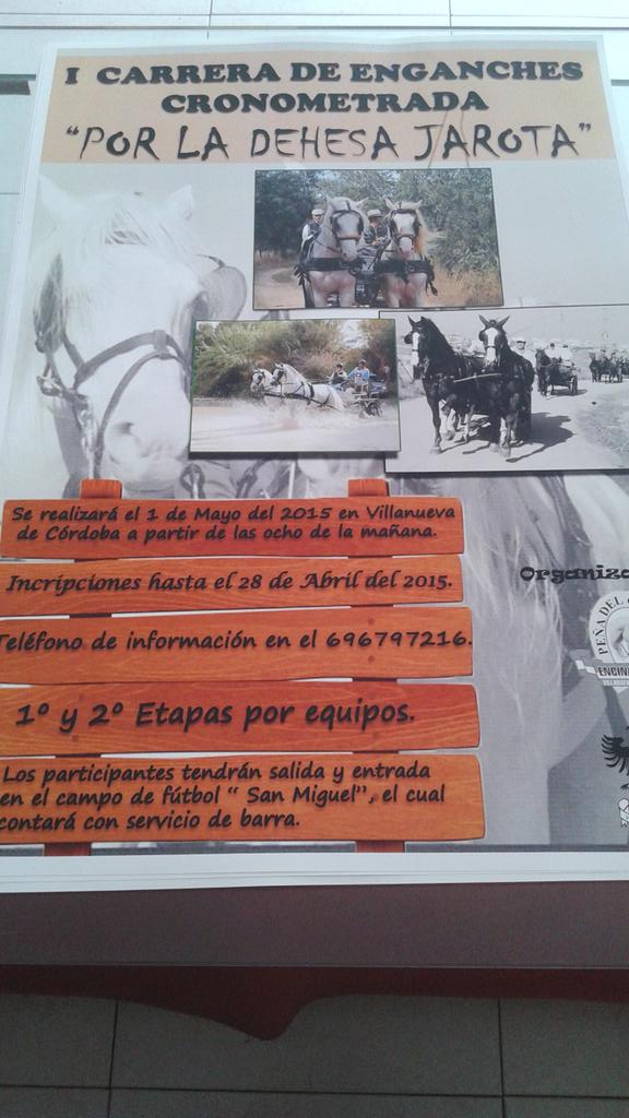 1 Carrera de enganches cronometrada. " por la dehesa jarota"