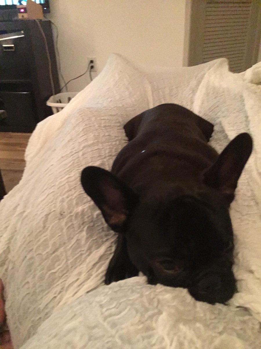 dillonthadude's tweet photo. @davidbradshaw91 Its my bedtime! http://t.co/9rFgTn8EOB