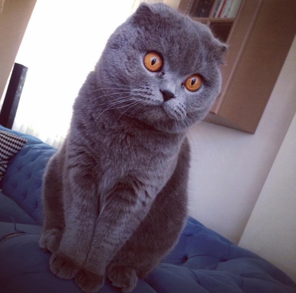 Discovery_TR's tweet photo. Mutlu Cumalar #MutluCumalar #DicoveryChannel http://t.co/hdmLYvZuAT