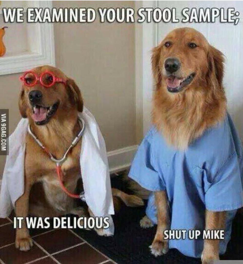 Friday Fun!!! 😂 #doghumour