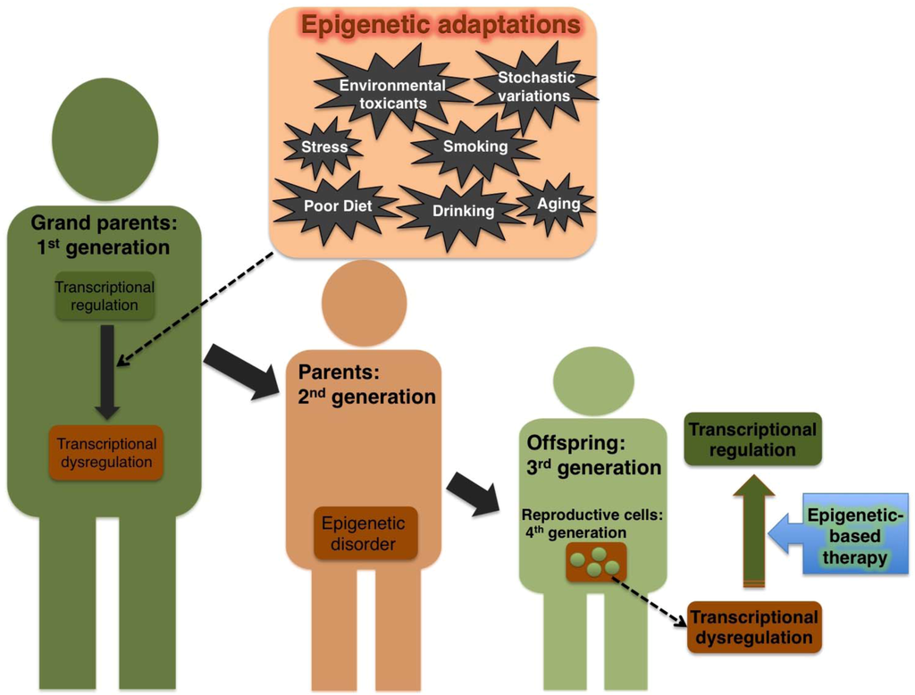 How protect environment. Adaptation to the environment. Environment презентация. Adapting to the environment. Adapting to the environment.