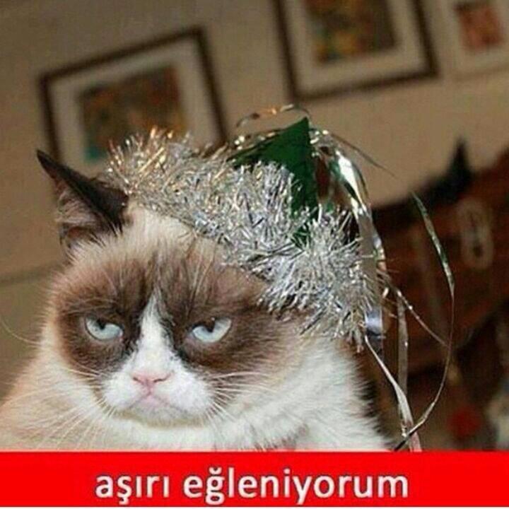 aliegeaylin (@gizemaykut86) on Twitter photo 