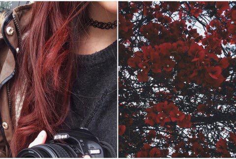 bodycompared's tweet image. 