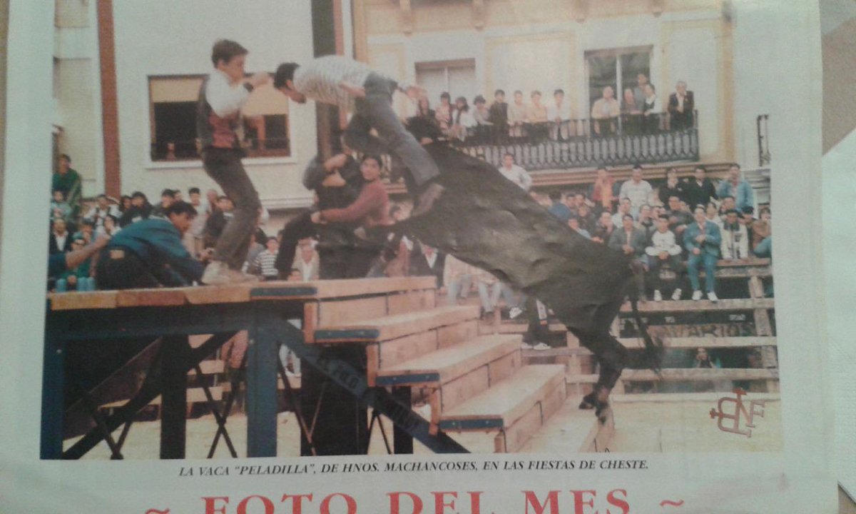 ErnestoOrdines's tweet photo. @bousnostrafesta jun'96 #vaca Peladilla en Xeste de #Machancoses @sialsbous @ReinadelaDehesa http://t.co/QXE6yyrVzh