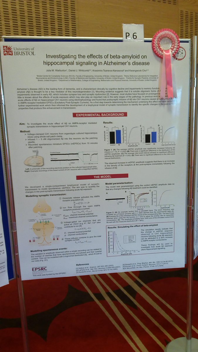 BioDynamics2015's tweet image. Winning poster #BioDynamics2015 Investigating effect of beta-amyloid on hippocampal signalling in Alzheimer&apos;s disease