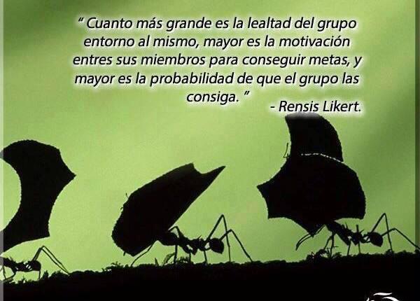 PROYECTOHOY's tweet image. 