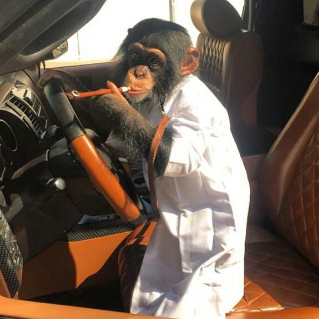 humaidalbuqaish's tweet photo. "😁😂😁😂" http://t.co/ba3ws7J7ua