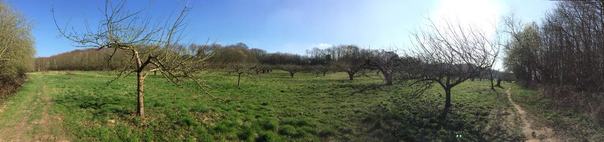 talkingtraders's tweet image. Take time in your week to re-engage with Nature. For all good business needs to be connected to the real world.