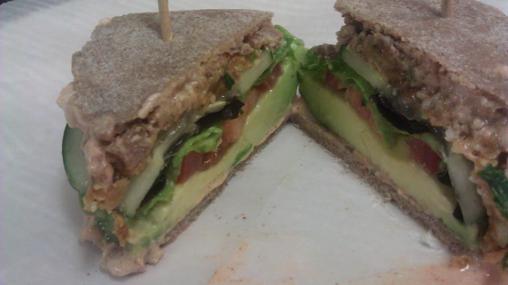 Dehydrated Cilantro onion,achiote Hempseed Burgers w/Coconut creme achiote sauce,”ALL RAW VEGAN”Yep in HUNTSVILLE AL