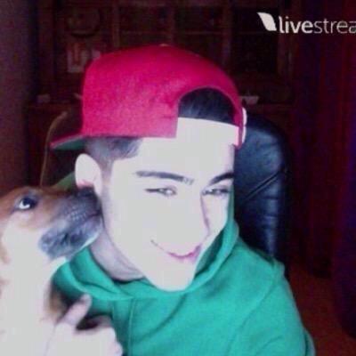pIatinumalbums's tweet image. zayn with a dog 2012 vs zayn with a dog 2015