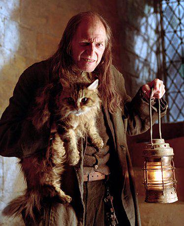 Happy birthday to David Bradley. Nosso eterno Argus Filch  está fazendo aniversario hoje. 