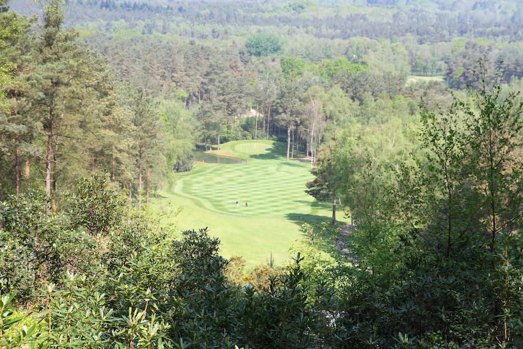 OTproshop's tweet photo. Back for 2015...Summer Sizzler! Call @OTproshop now on 01428 725880 to book! https://t.co/avTCjhORN9 http://t.co/wZdmfVvkH3
