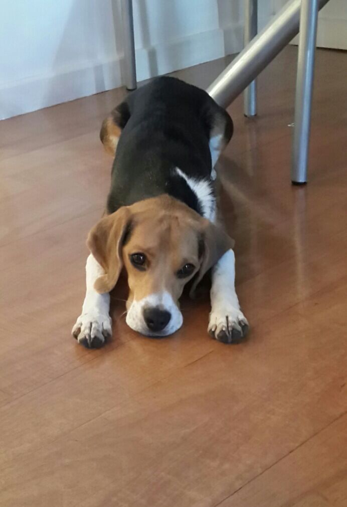 MarielFerre's tweet photo. #MiAmigoFiel el es mi hijo hermoso :-) http://t.co/eQk3OfxWQO
