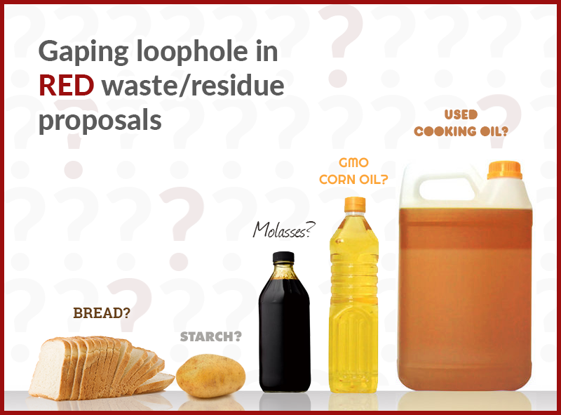 RED amendments lead to fragmentation of #EU #biofuels legislation bit.ly/1azc9VL