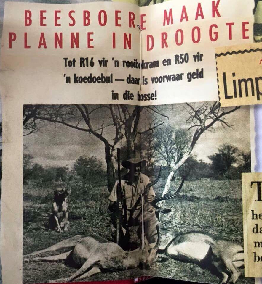 Wilhelm Steenkamp tweet media