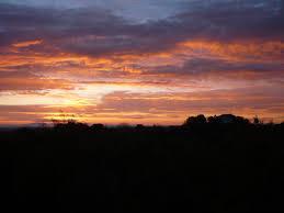 eema75 tweet picture