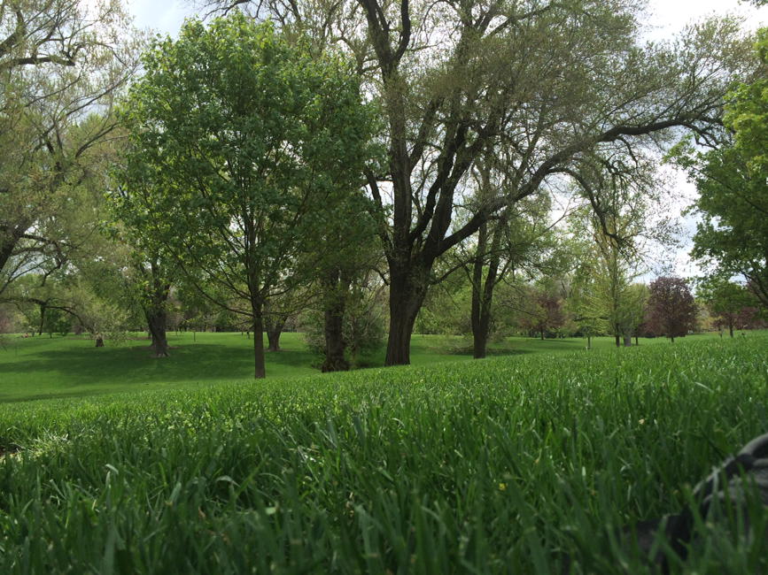 #loosepark Friday co-office #greenpastures