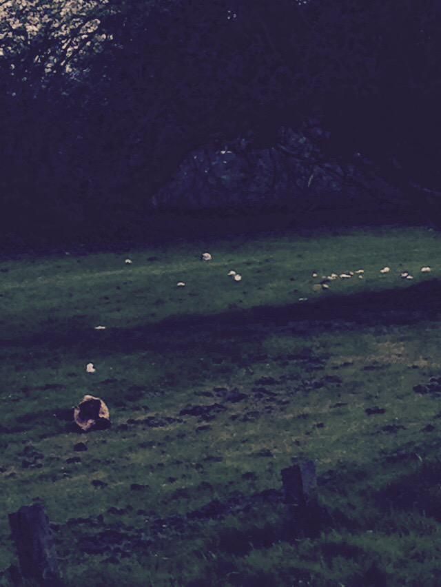 Harrow Facts tweet media