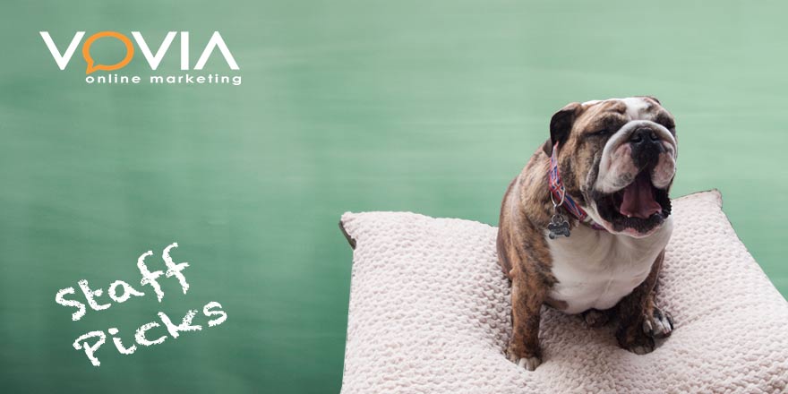 voviamarketing's tweet photo. #Staffpicks: Gulliver's always #WorkingLikeADog. Luckily, he has this Pooch Planet pillow in case he needs a #CatNap http://t.co/wlXyRdQRFZ