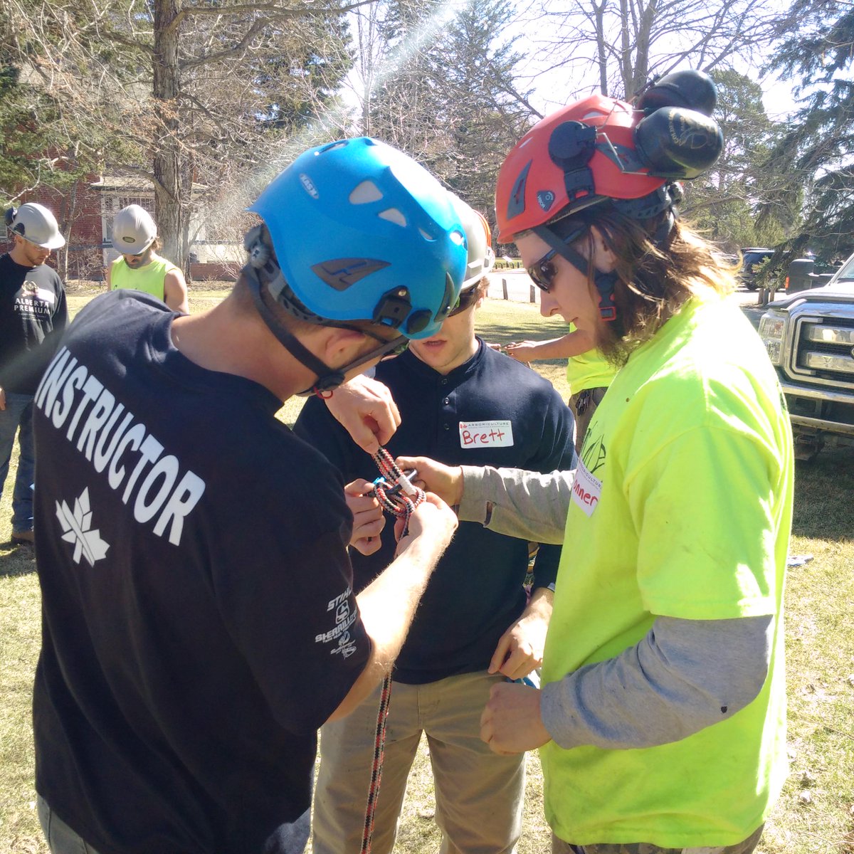 ArborCanada's tweet photo. Tree climbing training in Saskatoon with Sawyer's Tree Service...wonderful weather and people...love Saskatchewan! http://t.co/cnAAtkw6HH