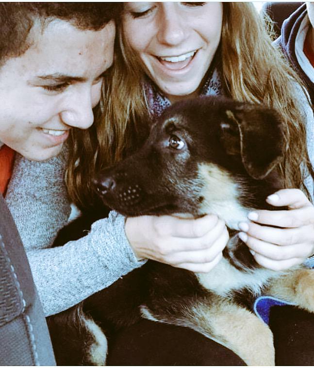 chadhockey11's tweet image. Happy birthday you weirdo @bsak16 #bigframe