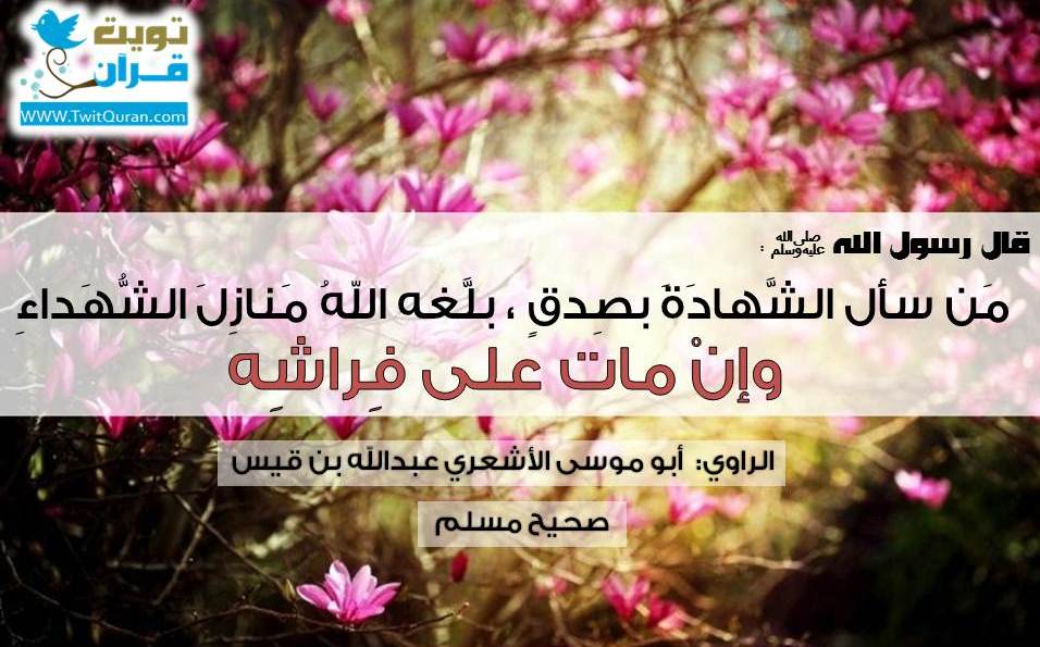 قال رسول الله ﷺ من سأل الشهادة بصدق بلّغه الله منازل الشهداء وإن مات على فراشه -- #صحيح_مسلم #تويت_حديث  #ﷺ