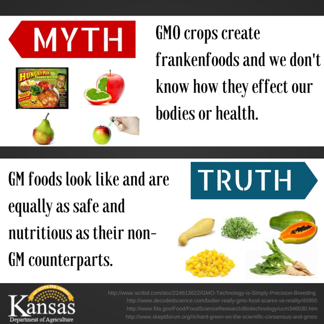 KSFarmBureau's tweet photo. MT @KansasDeptofAg: OMG, #GMOs! No need to be scared! GM crops just as safe & nutritious. #ksgmotalk http://t.co/abKVwNwyHm #raisingkansas