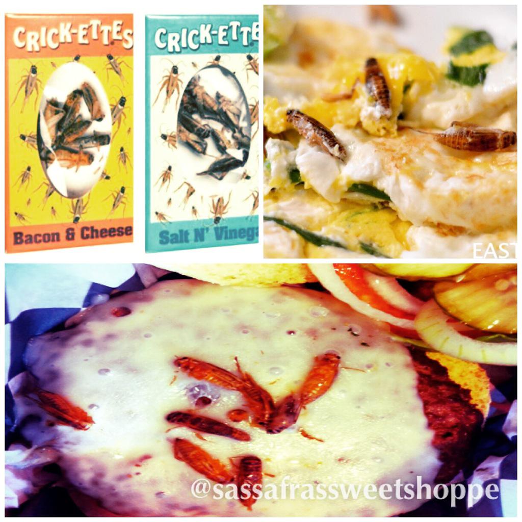 SassafrasWP's tweet photo. Theyre back! Come get ur Crickettes 4 ur next BBQ, omelette or salty snack!? http://t.co/0T01cMqNqU