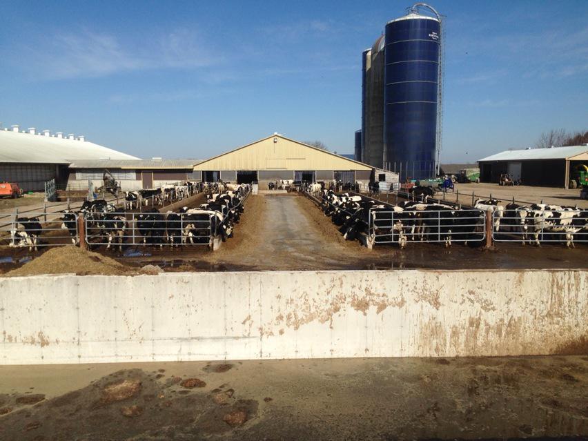 Joe Terpstra On Twitter Lintfield Markavalley Outside Pit At End