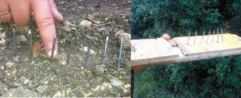 guardiacivil's tweet photo. Las trampas para ciclistas pueden provocar lesiones graves
Dale RT 
Colabora contra esta #salvajada
Si las ves #062
http://t.co/wEuJdVEUM0