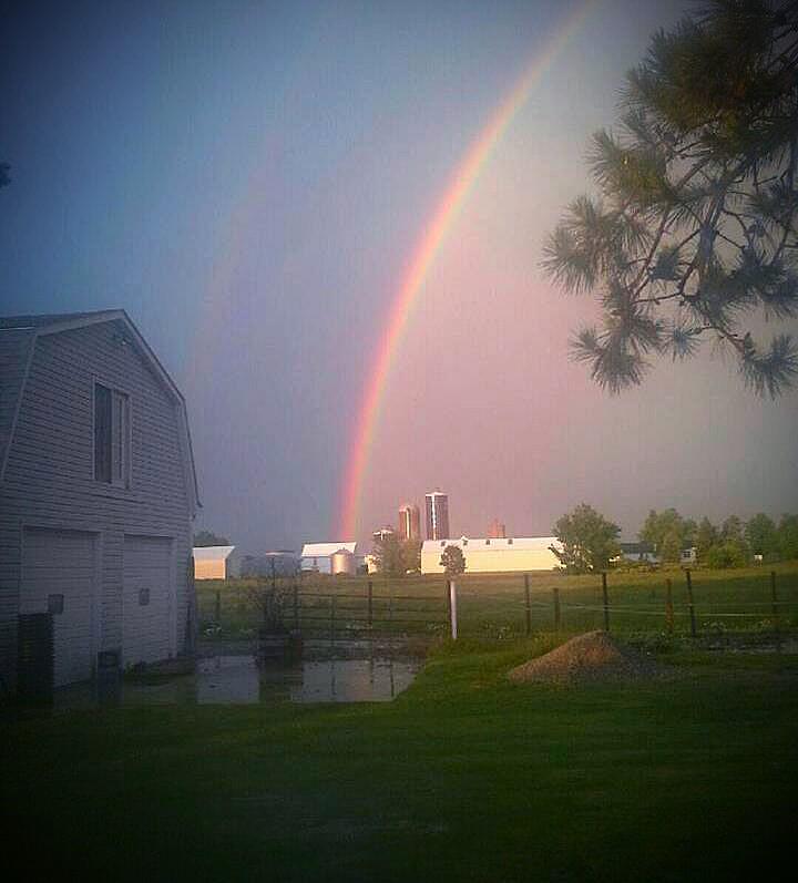 spike_cat's tweet image. Dear @R_i_c_h_a_r_d_1 and @BootsandFluffy #Pawcircle we thinking of you  #wlf