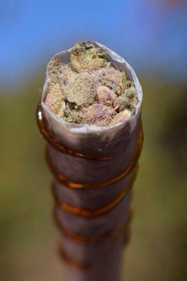 ATayebi2000's tweet photo. Do u wana smoke ????? http://t.co/jaKyoM8Pix