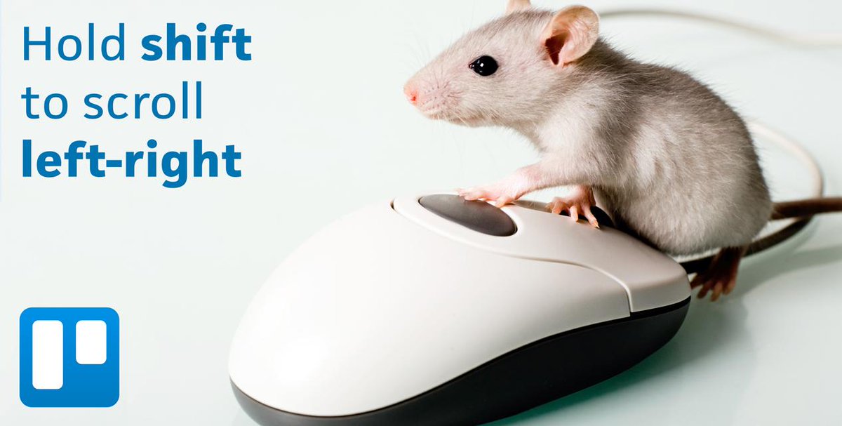 Mouse Test, Scroll, Left & Right