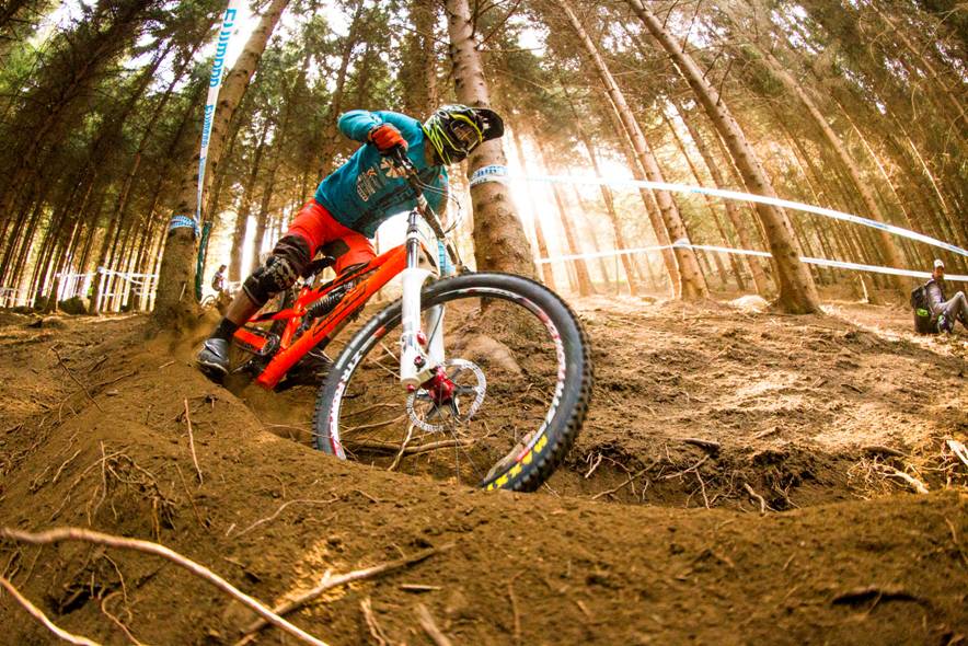 DorvalAM's tweet image. Fier d&apos;être sponsor de @Mciriego @Qchomier6 @BenoitCoulanges 
Bonne chance pour la coupe du monde !
#UCIWorldCup #MTB