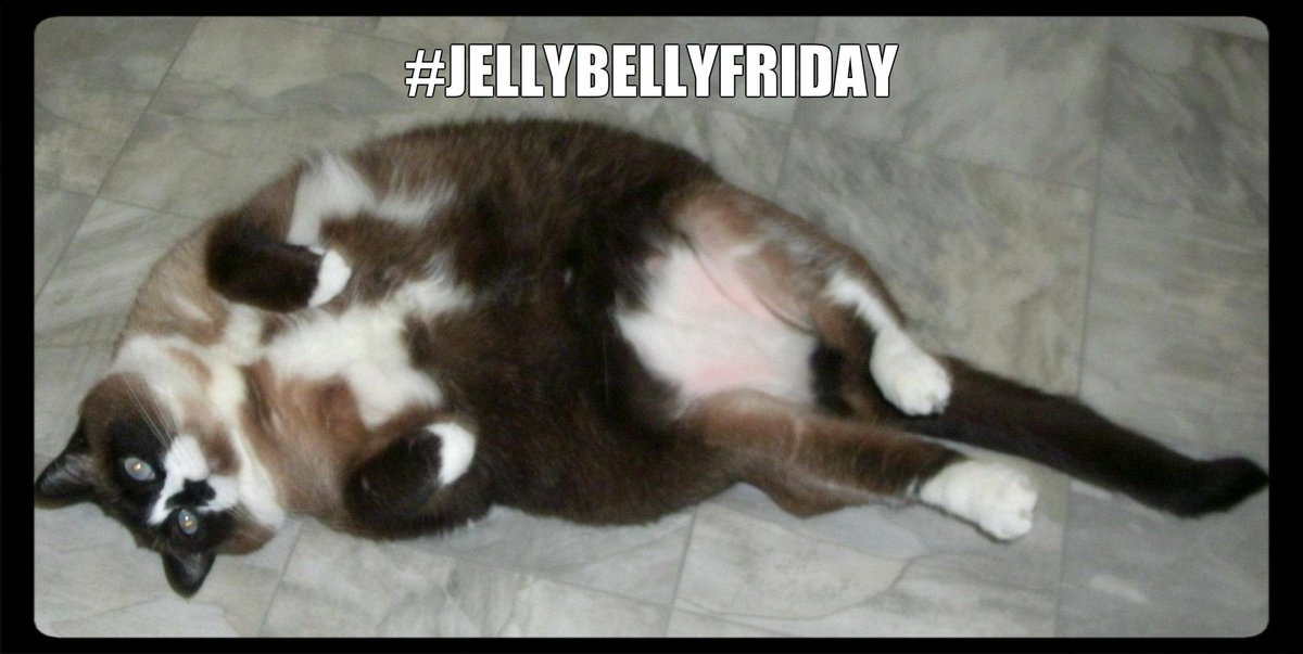 Welcome @JustTwoKittens @Emma_black_cat @CHWKcommunity-Thx. for following #PetOwnersIndependenceDay #JellyBellyFriday
