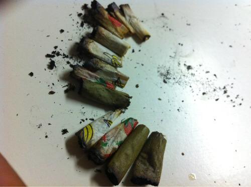 JamisenMusic's tweet image. Roachella