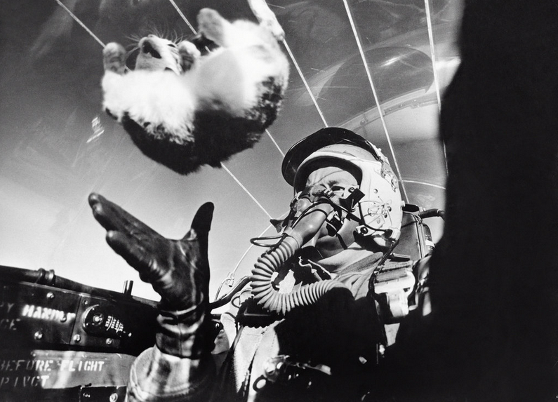 BimKitten's tweet photo. here's an early picture of me learning to fly http://t.co/wcrKpcKU9u