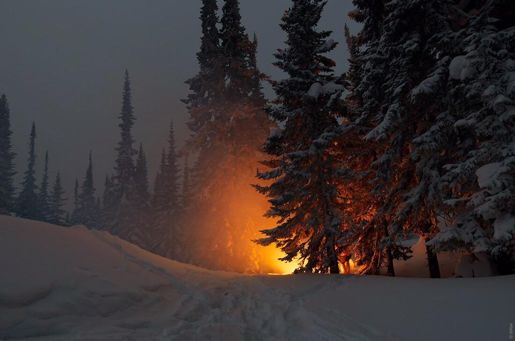 Отрывок тайга тайга. Костер зимой в лесу. Костер в зимнем лесу. Огонь в лесу зимой. Зимний лес ночью.