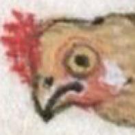 _MedievaIReacts's tweet photo. Cuando alguien coge el ultimo trozo de pizza. http://t.co/K2vIEEJzNr