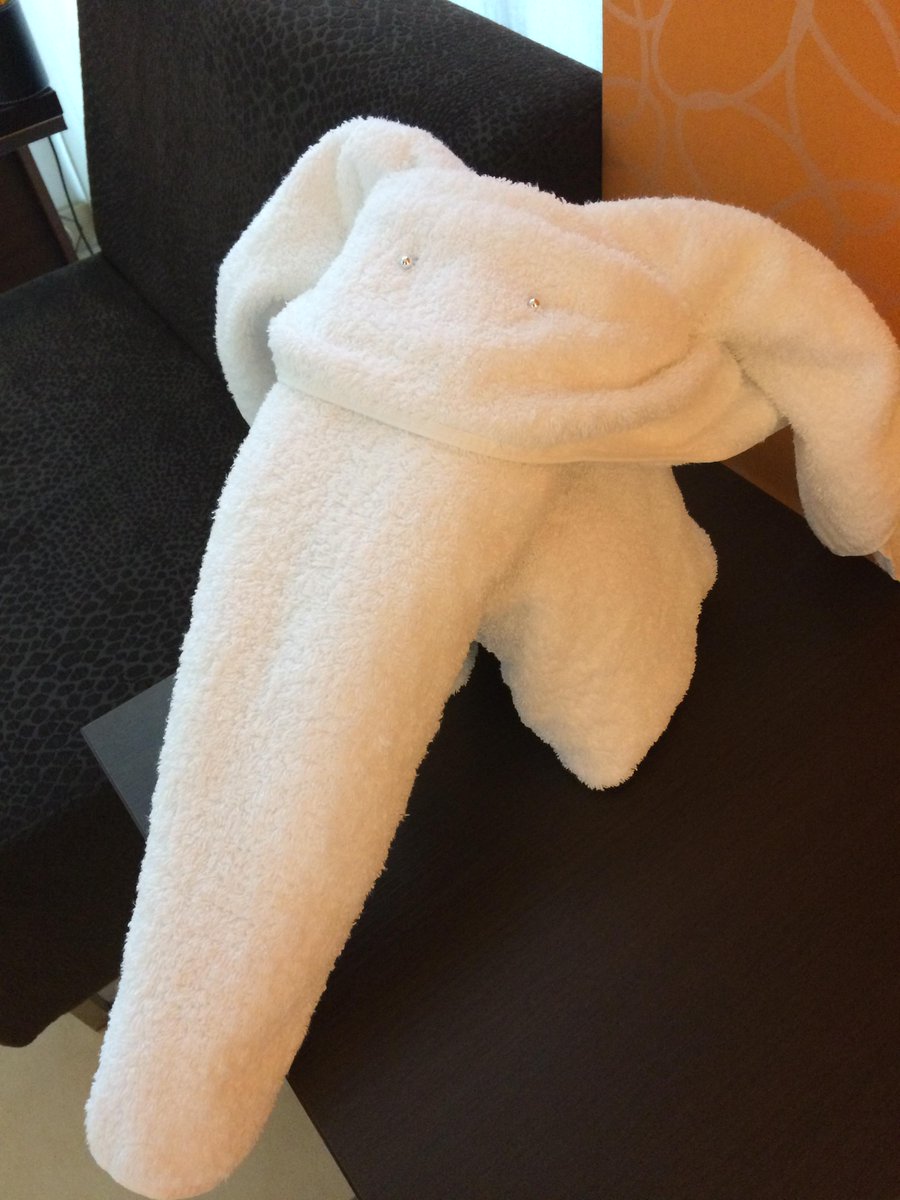 MonikaNoebauer's tweet photo. Wie pflanzen einen Wald! Für jedes "Handtuchtier" unter #planetmarriotteurope #CourtyardLinz gibts einen Baum! http://t.co/cibplQTf4Y